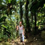 A climb up tropical forests