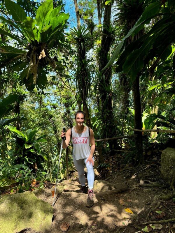 A climb up tropical forests